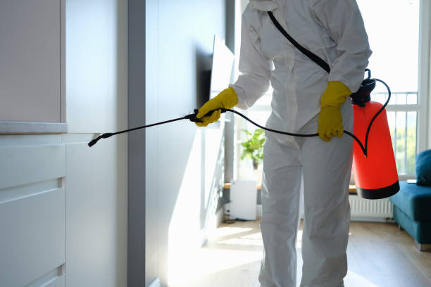Certified Mold Removal in East Hazel Crest, IL