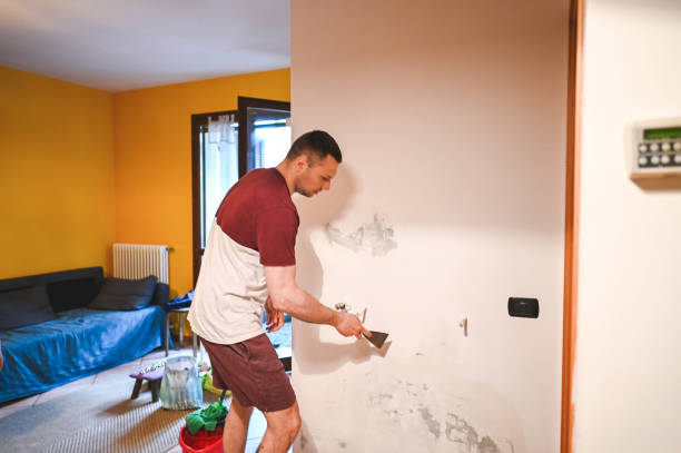 Reliable East Hazel Crest, IL Mold Removal Solutions